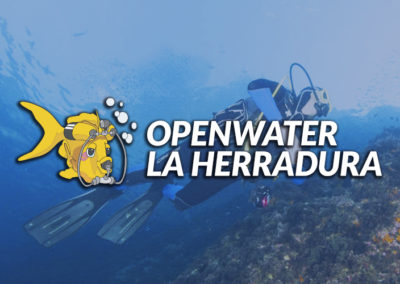 Openwater La Herradura